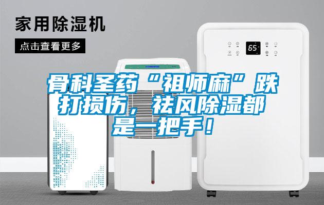 骨科圣药“祖师麻”跌打损伤，祛风除湿都是一把手！