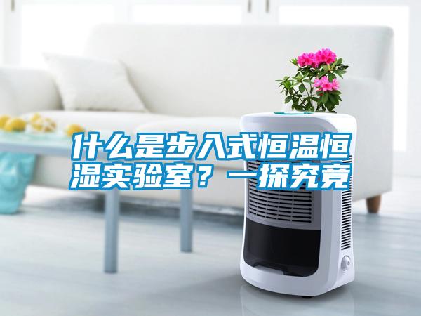 什么是步入式恒温恒湿实验室？一探究竟