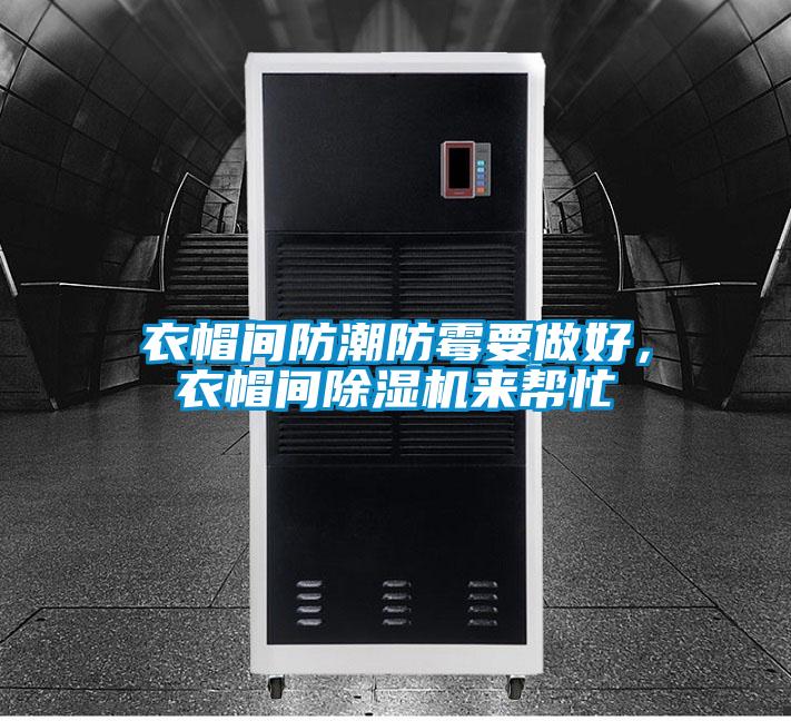 衣帽间防潮防霉要做好，衣帽间麻豆视频黄网站来帮忙
