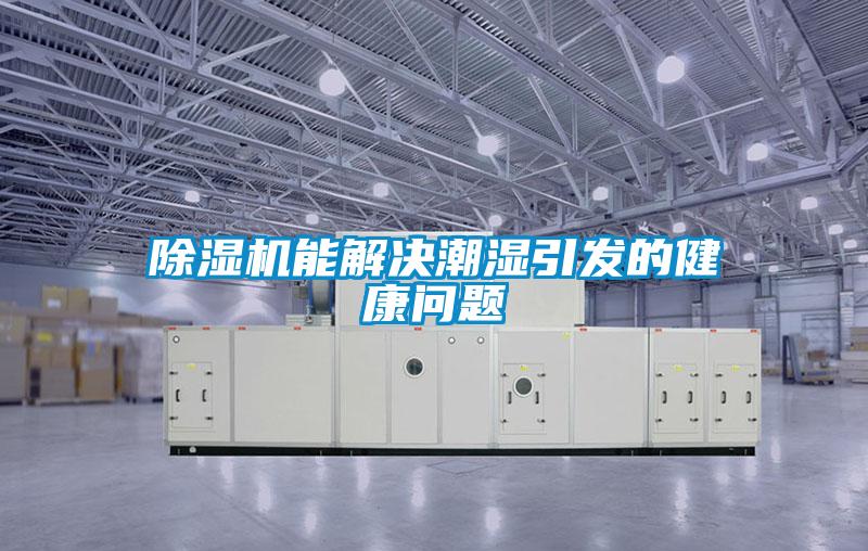 麻豆视频黄网站能解决潮湿引发的健康问题