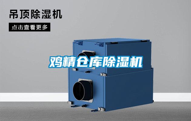 鸡精仓库麻豆视频黄网站