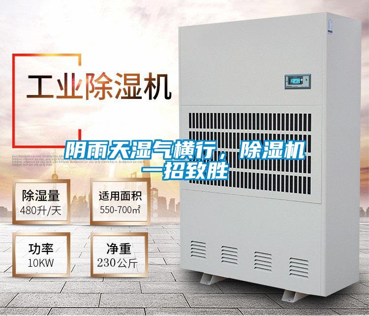 阴雨天湿气横行，麻豆视频黄网站一招致胜