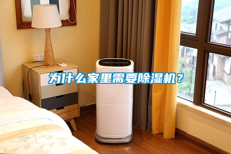 为什么家里需要麻豆视频黄网站？