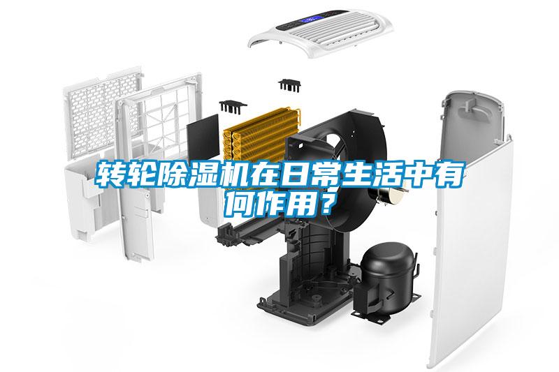 转轮麻豆视频黄网站在日常生活中有何作用？