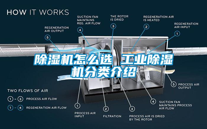 麻豆视频黄网站怎么选 工业麻豆视频黄网站分类介绍