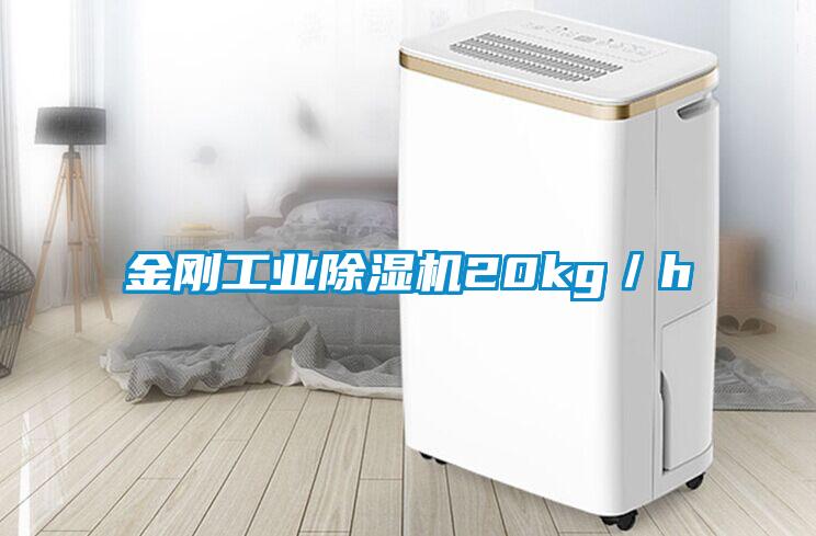 金刚工业麻豆视频黄网站20kg／h