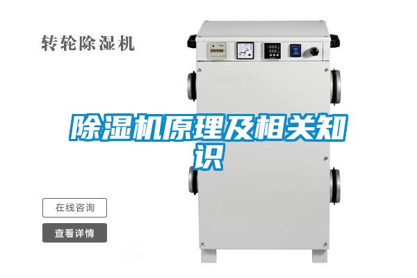 麻豆视频黄网站原理及相关知识