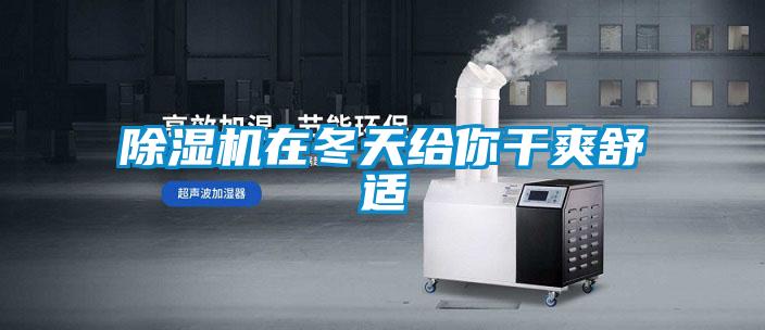 麻豆视频黄网站在冬天给你干爽舒适