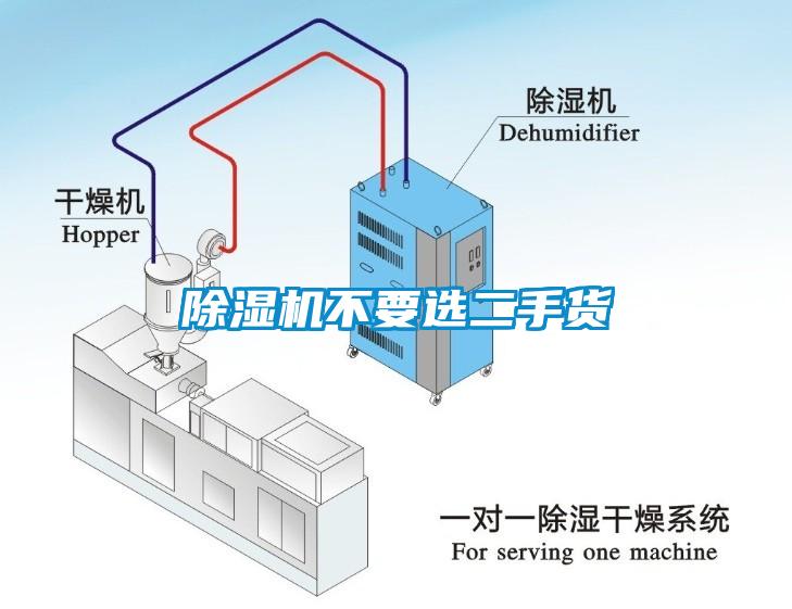 麻豆视频黄网站不要选二手货