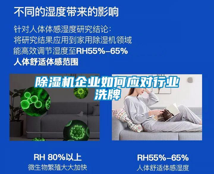 麻豆视频黄网站企业如何应对行业洗牌