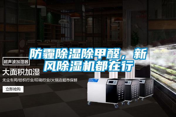防霾除湿除甲醛，新风麻豆视频黄网站都在行