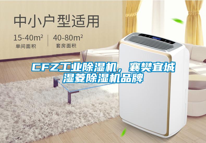 CFZ工业麻豆视频黄网站，襄樊宜城湿菱麻豆视频黄网站品牌