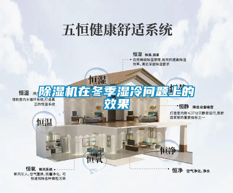 麻豆视频黄网站在冬季湿冷问题上的效果