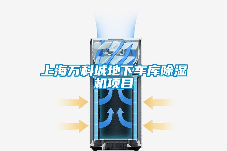 上海万科城地下车库麻豆视频黄网站项目