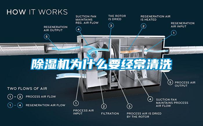 麻豆视频黄网站为什么要经常清洗