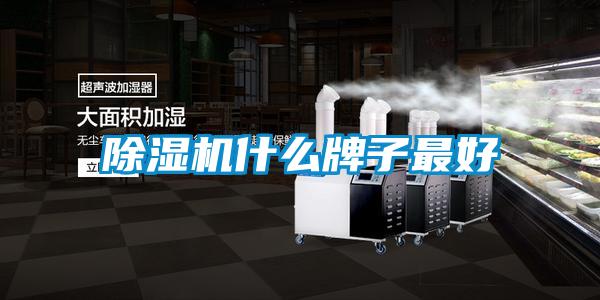 麻豆视频黄网站什么牌子最好
