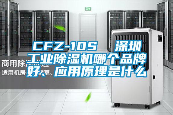 CFZ-10S  深圳工业麻豆视频黄网站哪个品牌好、应用原理是什么