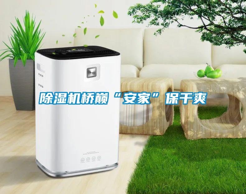 麻豆视频黄网站桥巅“安家”保干爽