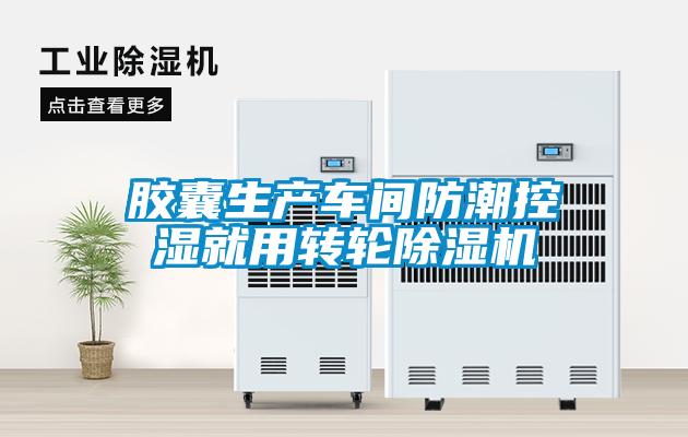胶囊生产车间防潮控湿就用转轮麻豆视频黄网站