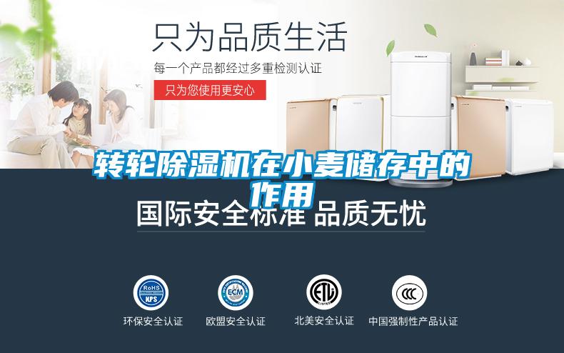 转轮麻豆视频黄网站在小麦储存中的作用