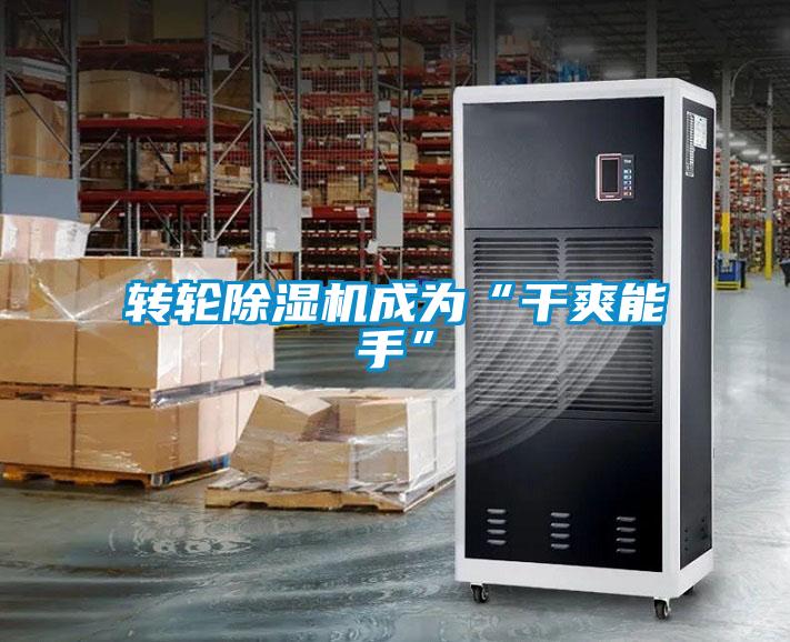 转轮麻豆视频黄网站成为“干爽能手”