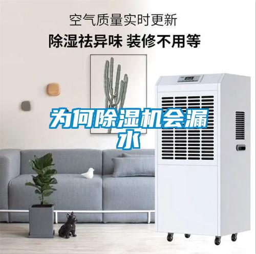 为何麻豆视频黄网站会漏水