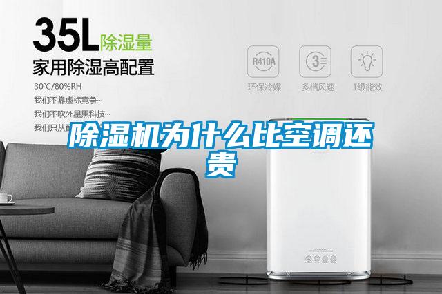 麻豆视频黄网站为什么比空调还贵