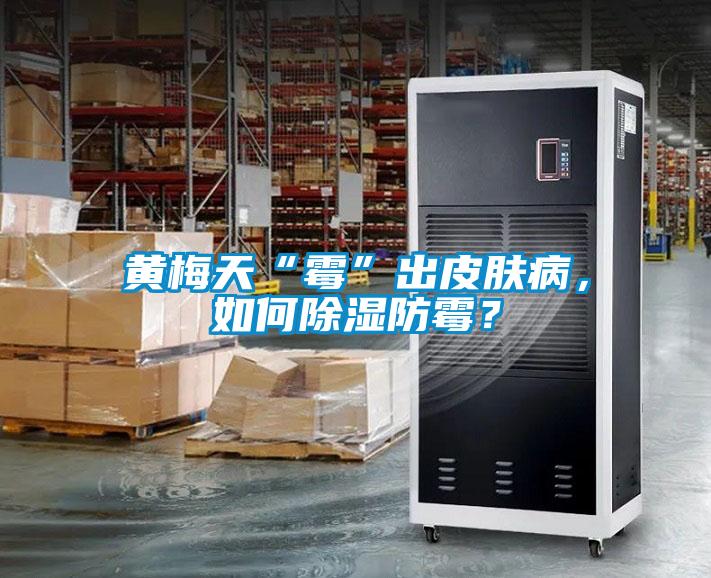 黄梅天“霉”出皮肤病，如何除湿防霉？