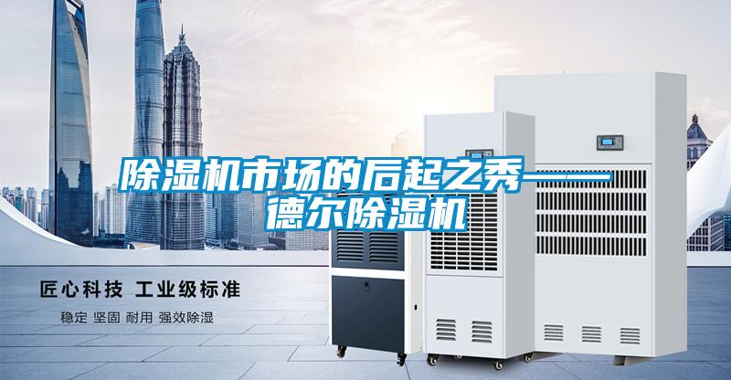 麻豆视频黄网站市场的后起之秀——德尔麻豆视频黄网站
