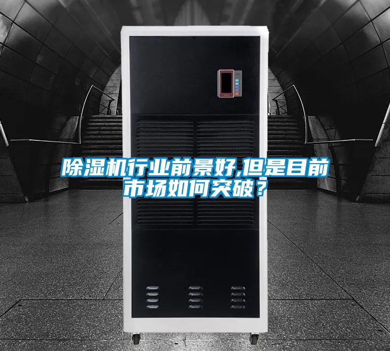 麻豆视频黄网站行业前景好,但是目前市场如何突破？