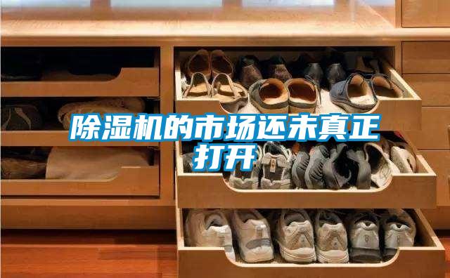 麻豆视频黄网站的市场还未真正打开