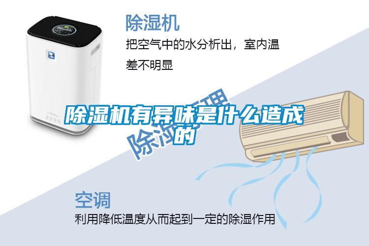 麻豆视频黄网站有异味是什么造成的