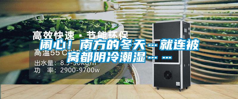 闹心！南方的冬天…就连被窝都阴冷潮湿……