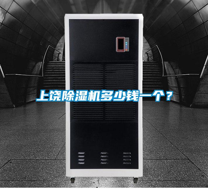 上饶麻豆视频黄网站多少钱一个？