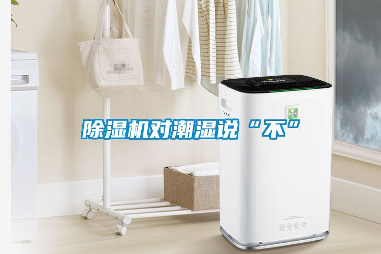 麻豆视频黄网站对潮湿说“不”