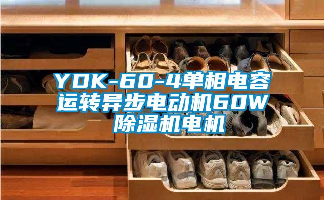 YDK-60-4单相电容运转异步电动机60W 麻豆视频黄网站电机