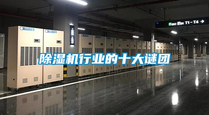 麻豆视频黄网站行业的十大谜团