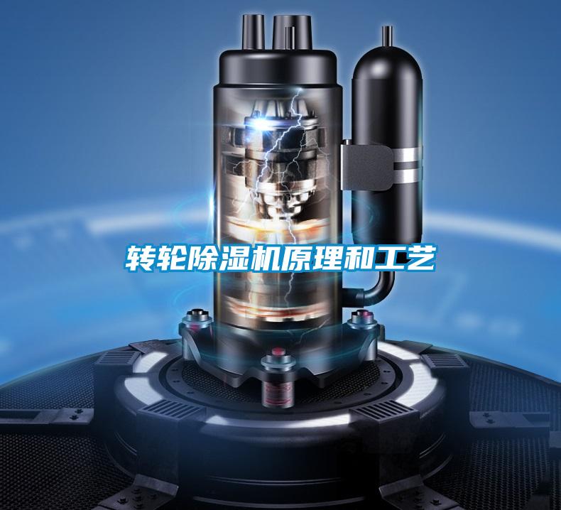 转轮麻豆视频黄网站原理和工艺
