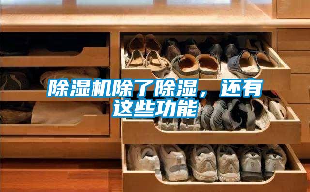 麻豆视频黄网站除了除湿，还有这些功能