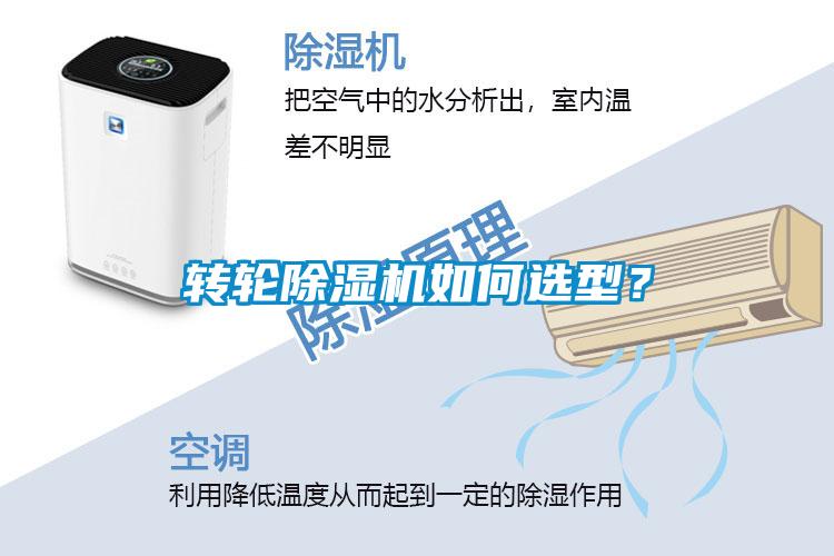 转轮麻豆视频黄网站如何选型？