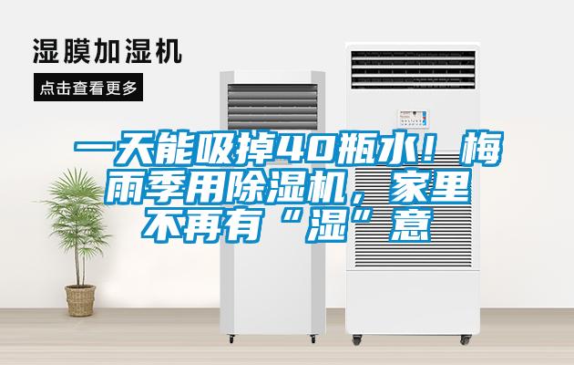 一天能吸掉40瓶水！梅雨季用麻豆视频黄网站，家里不再有“湿”意