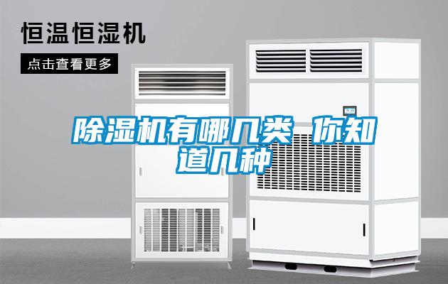 麻豆视频黄网站有哪几类 你知道几种