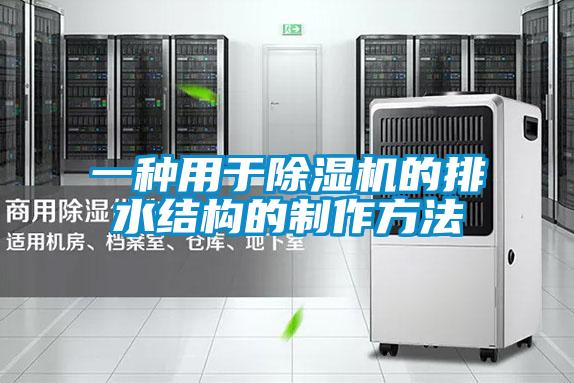 一种用于麻豆视频黄网站的排水结构的制作方法