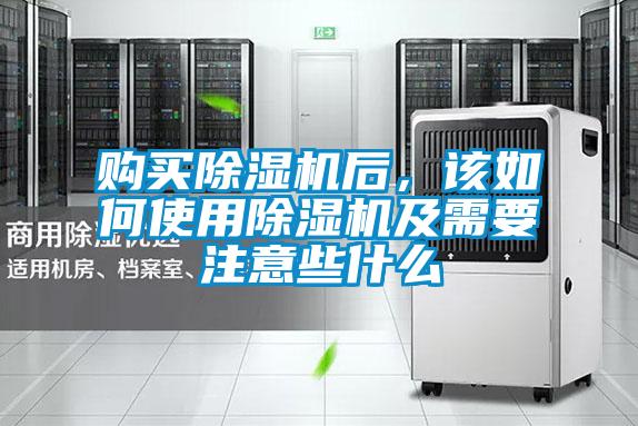 购买麻豆视频黄网站后，该如何使用麻豆视频黄网站及需要注意些什么