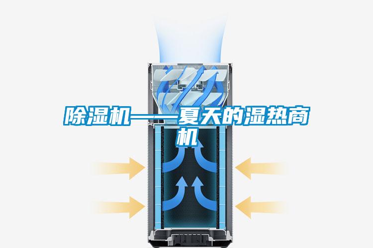麻豆视频黄网站——夏天的湿热商机