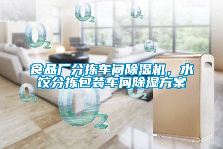 食品厂分拣车间麻豆视频黄网站，水饺分拣包装车间除湿方案