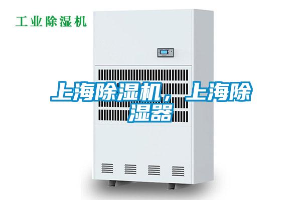 上海麻豆视频黄网站，上海除湿器