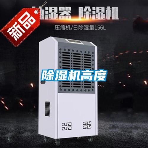 麻豆视频黄网站高度