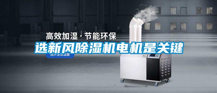选新风麻豆视频黄网站电机是关键
