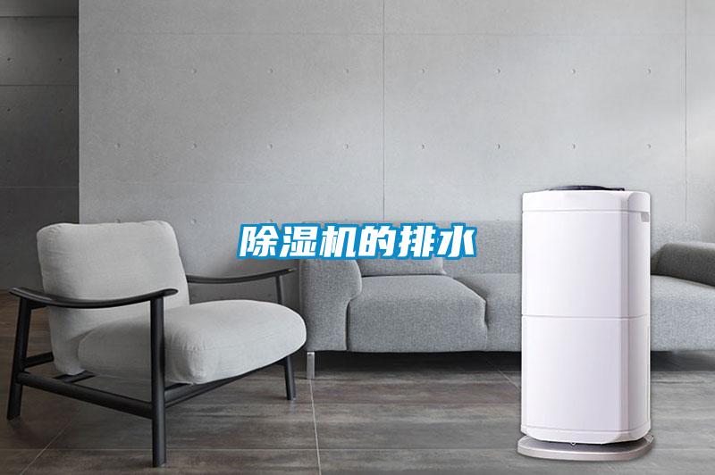 麻豆视频黄网站的排水